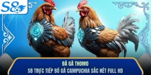 Đá Gà Thomo - S8 Trực Tiếp Bồ Gà Campuchia Sắc Nét Full Hd 