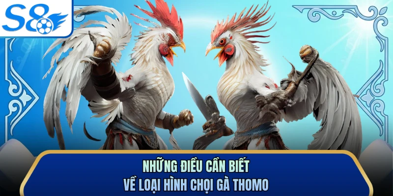 Những điều cần biết về loại hình chọi gà Thomo 