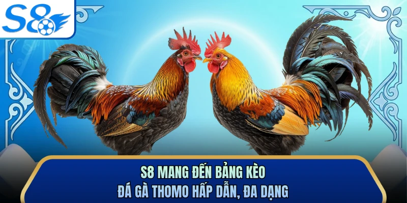 S8 mang đến bảng kèo đá gà Thomo hấp dẫn, đa dạng